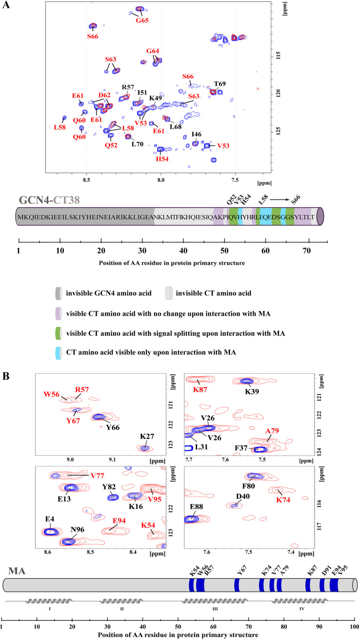 FIG 3