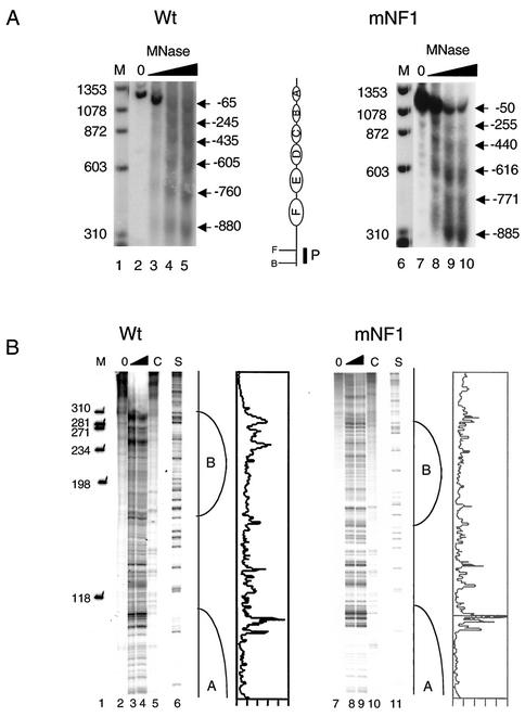 FIG. 7.