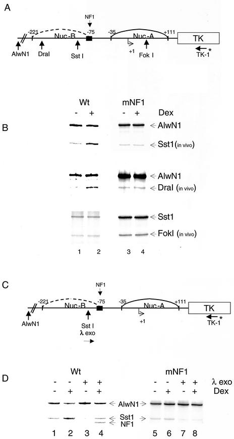 FIG.6.