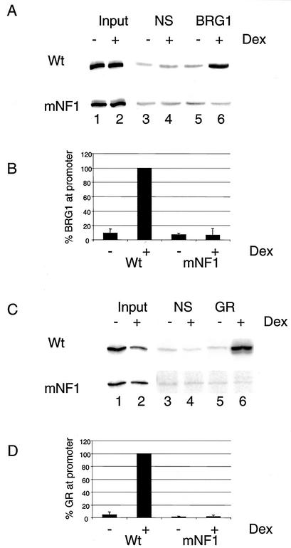 FIG. 8.