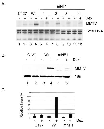 FIG. 5.