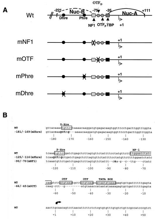 FIG. 1.