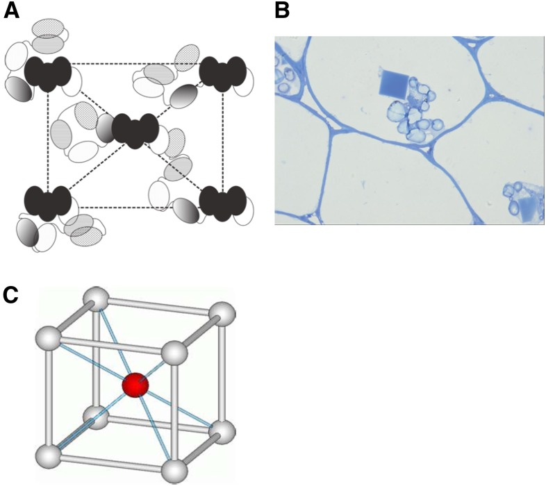 Figure 9.