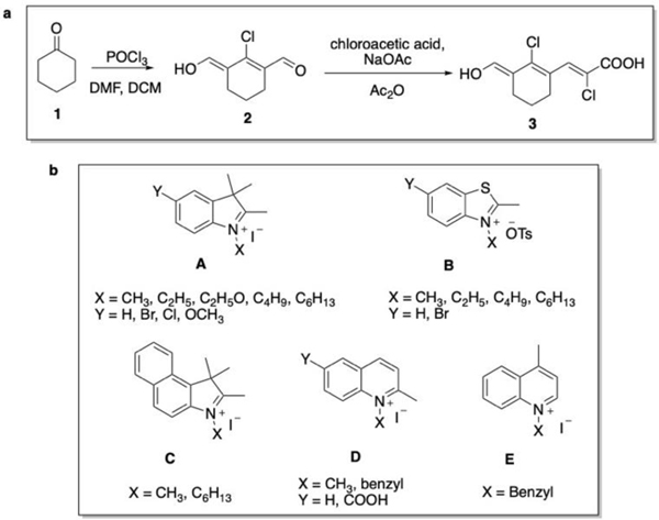 Scheme 1.