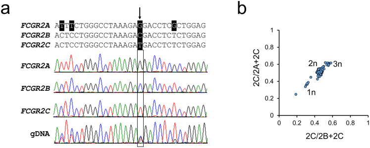 graphic file with name figs1.jpg