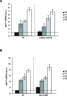 Figure 3—figure supplement 2.