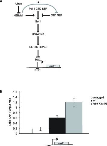 Figure 4—figure supplement 2.