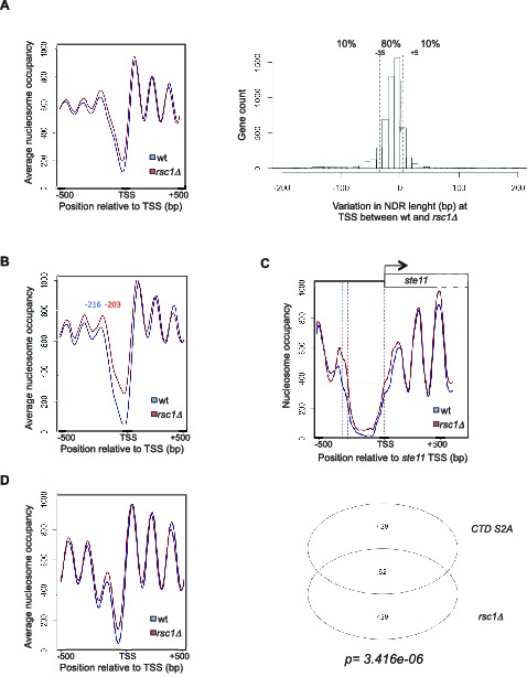 Figure 4—figure supplement 1.