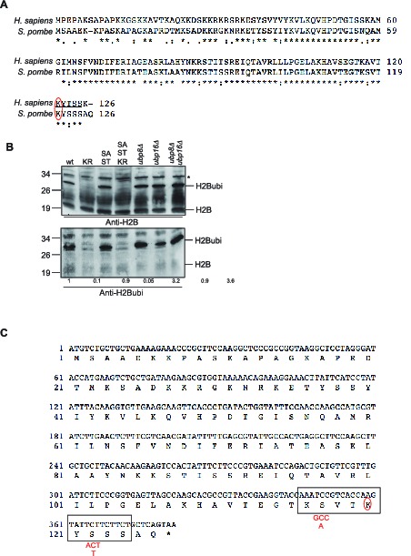 Figure 1—figure supplement 2.