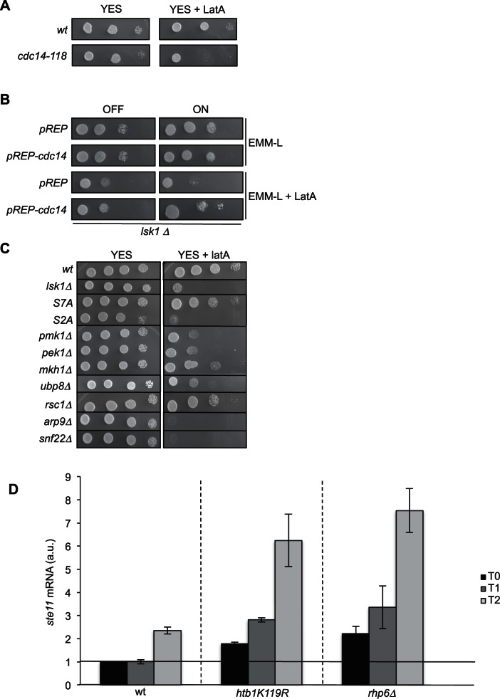 Figure 1—figure supplement 1.