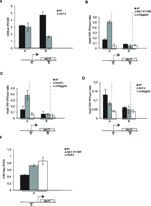 Figure 4.