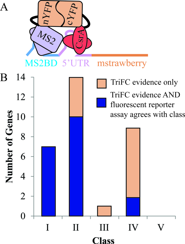 Figure 5.