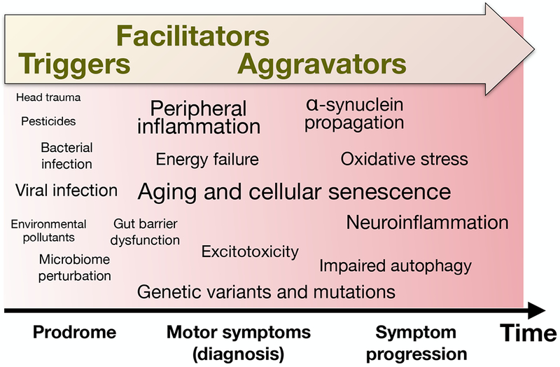 Figure 1: