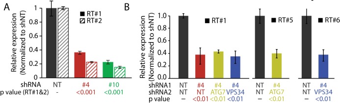 Figure 6—figure supplement 2.