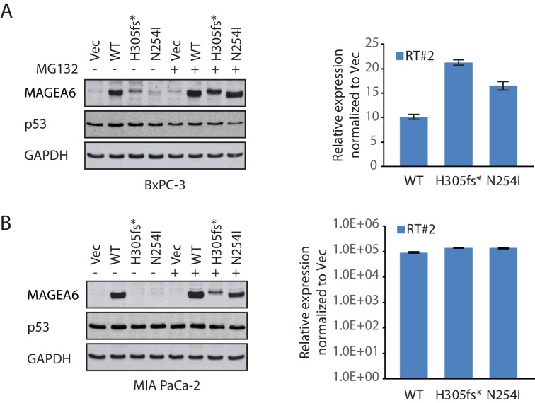 Figure 4—figure supplement 1.