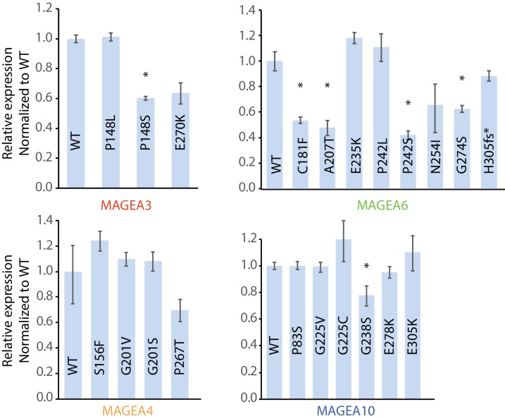 Figure 3—figure supplement 1.