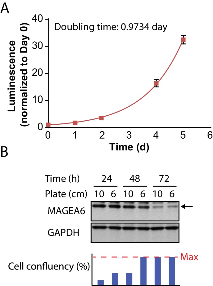 Figure 4—figure supplement 3.