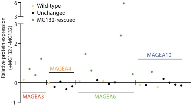 Figure 3—figure supplement 2.