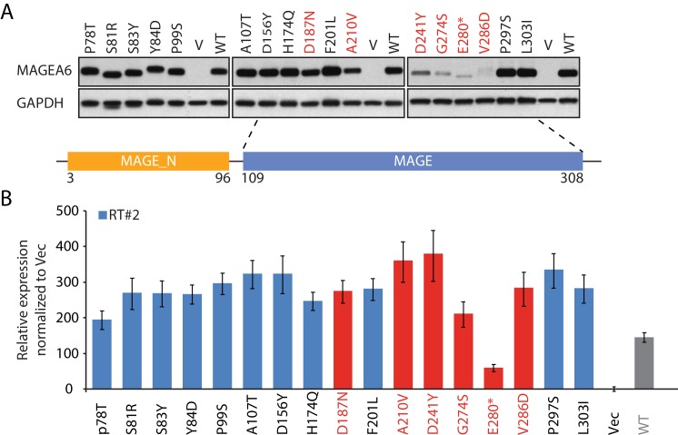 Figure 6—figure supplement 3.