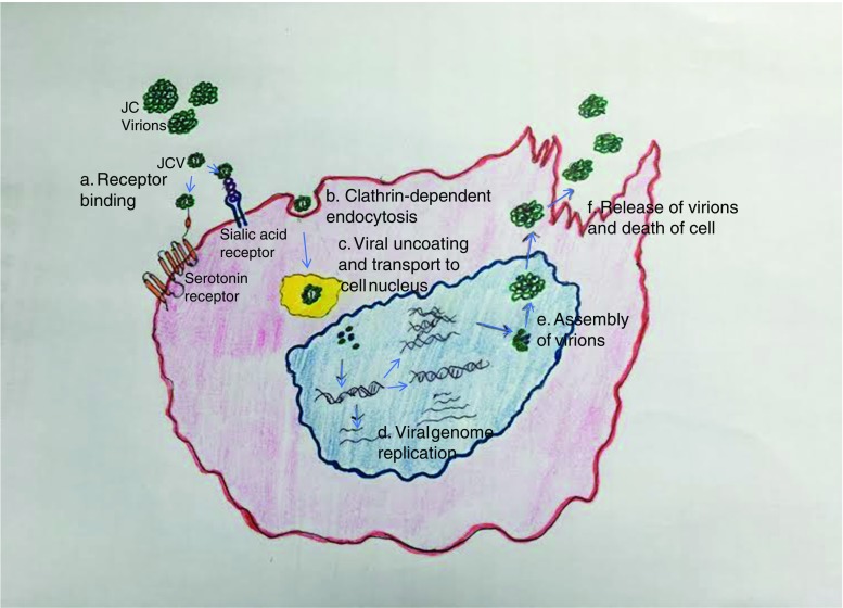 Fig. 1