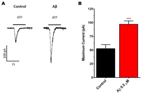 Fig. 8