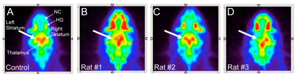 FIGURE 3