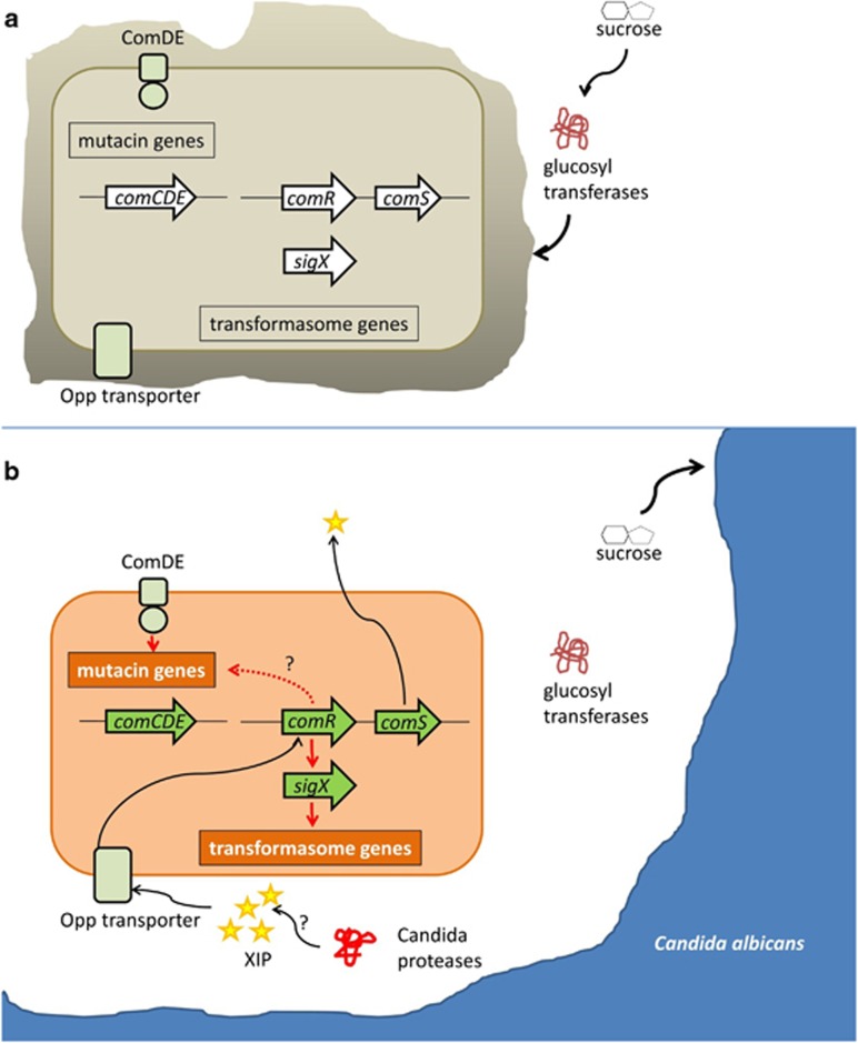 Figure 10