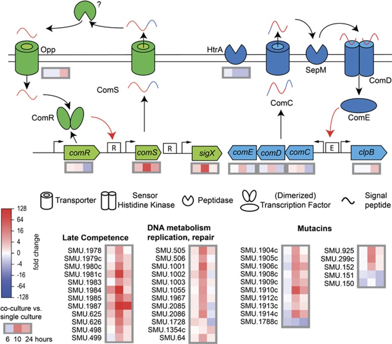 Figure 6