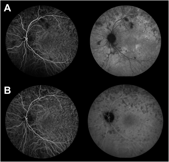 Fig. 5