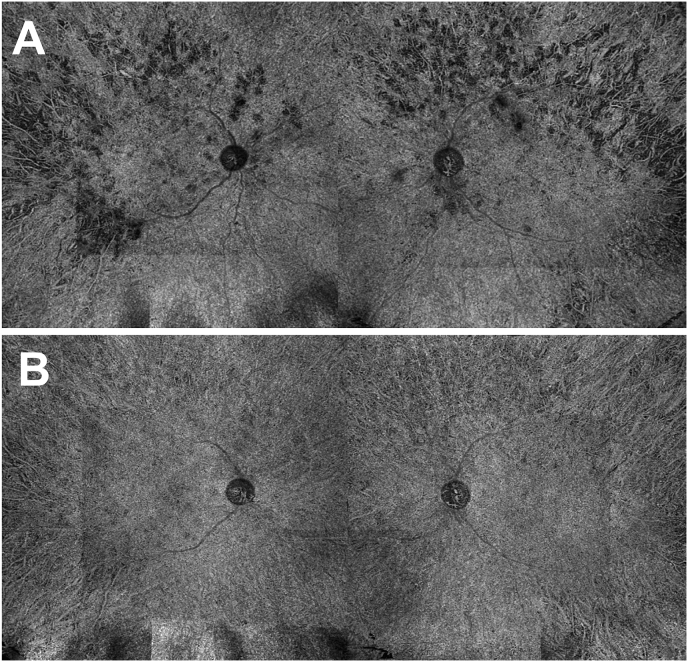 Fig. 6