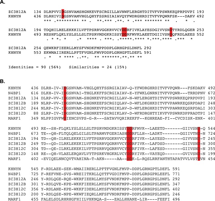 Figure 6—figure supplement 2.