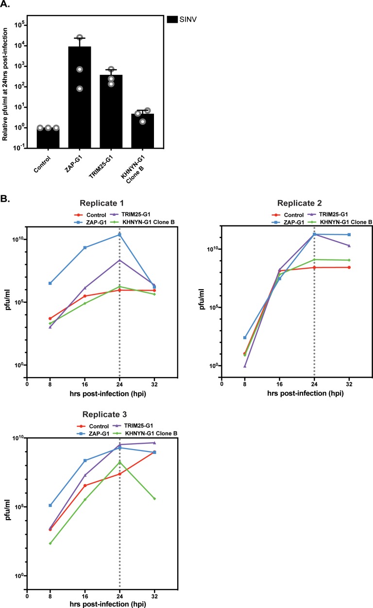 Figure 7—figure supplement 3.