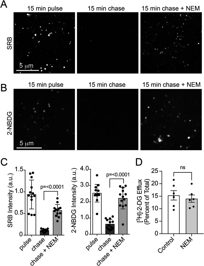 FIGURE 6: