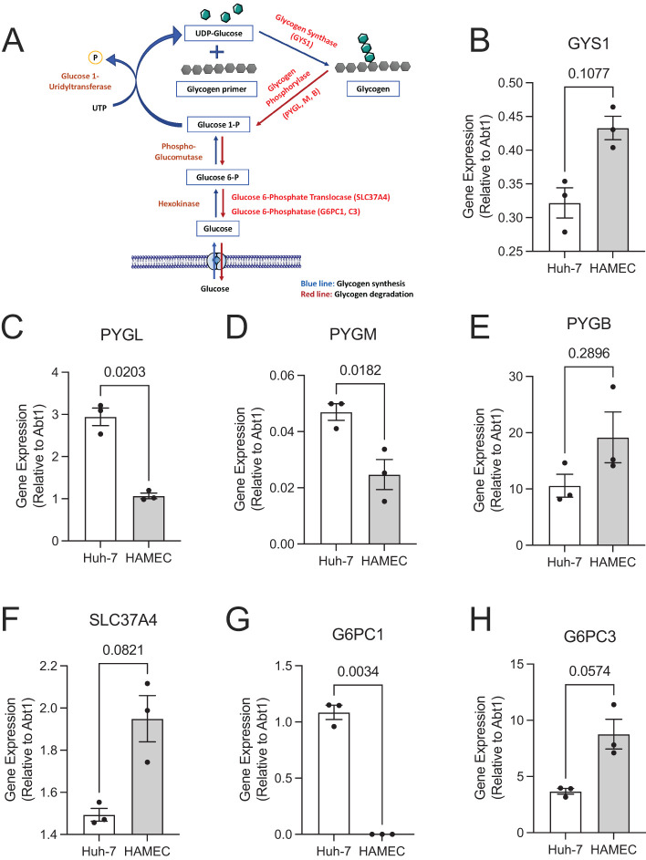 FIGURE 3: