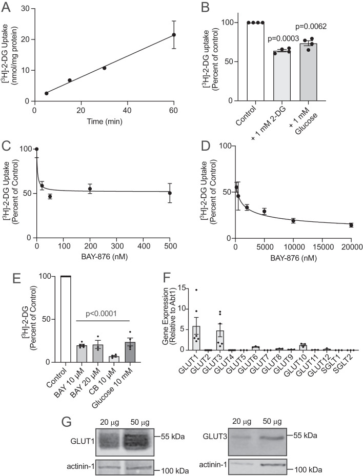 FIGURE 1: