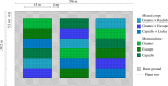 Field experimental setup.