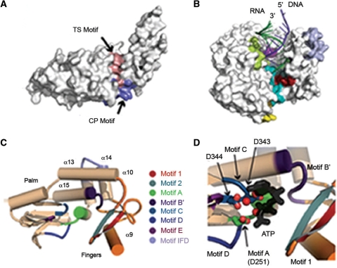 Figure 2.