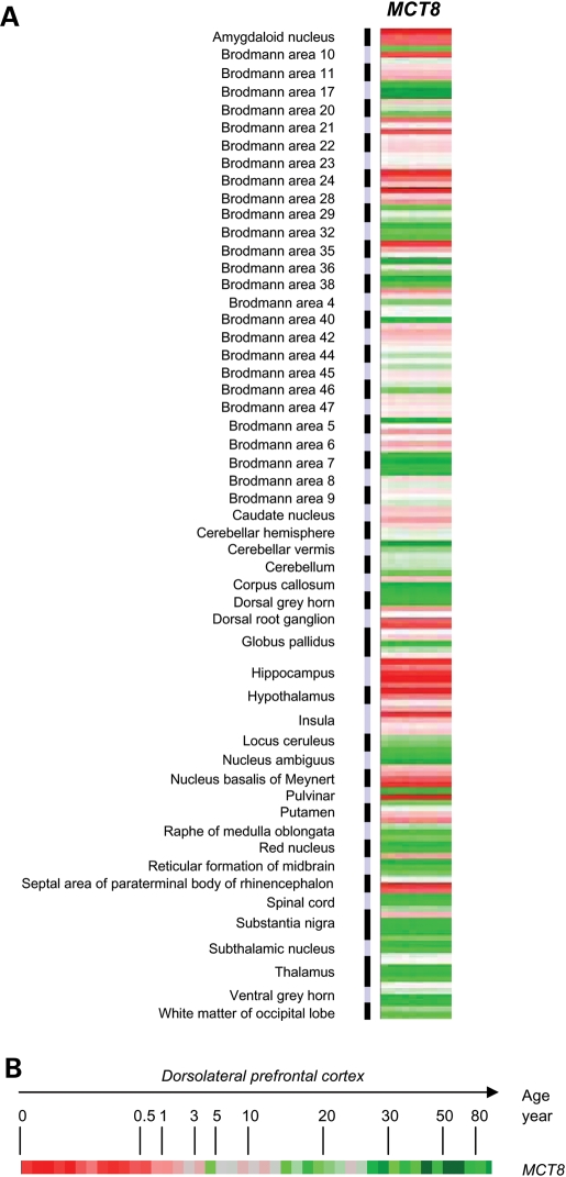 Figure 2.