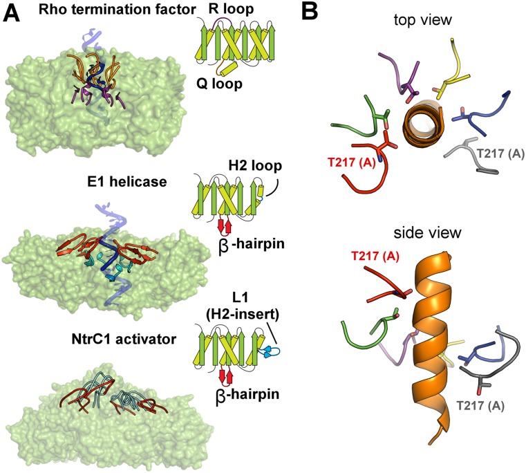 Figure 6.