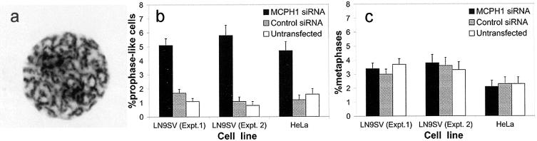 Figure  5