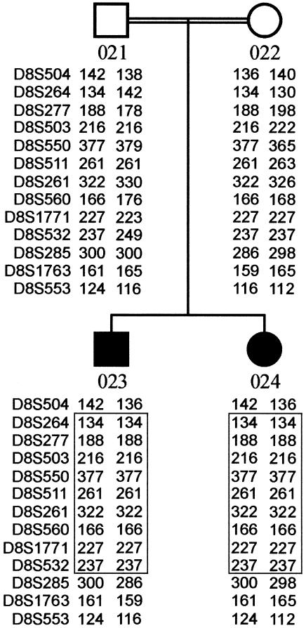 Figure  1