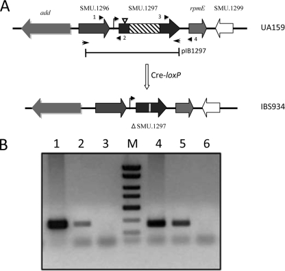 FIG. 2.