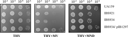 FIG. 3.