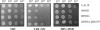 FIG. 3.