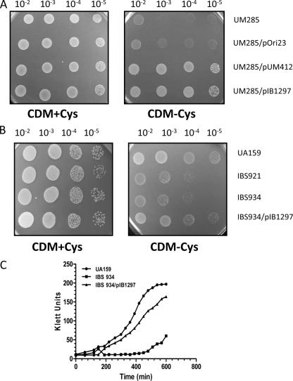 FIG. 6.