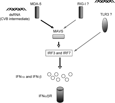 FIG. 6.