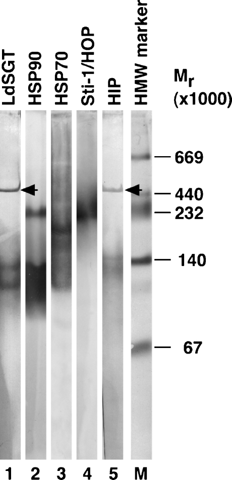 Fig. 6