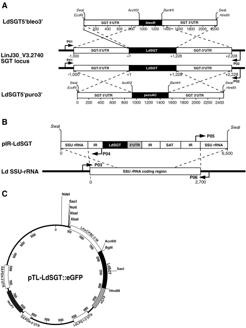 Fig. 3