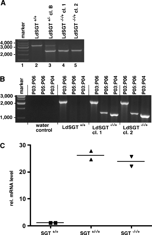 Fig. 4