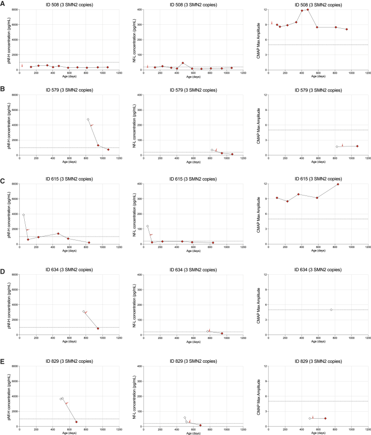 Figure 3